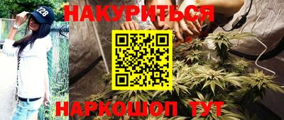 индика Будённовск