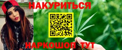 индика Будённовск