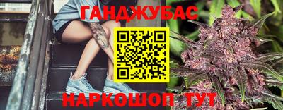 индика Будённовск