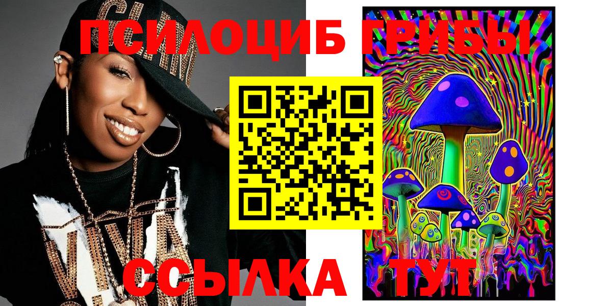 Псилоцибиновые грибы Psilocybine cubensis Красноярск